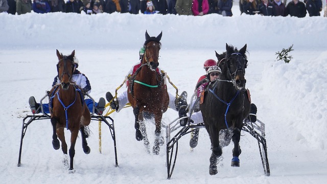 冰雪项目上